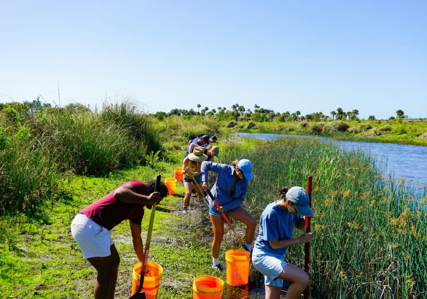 The tampa bay estuary program CxL29J aM5E unsplash